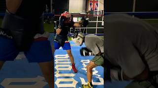 SPARRING AT THE BOXING GYM!!!