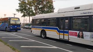 2009 NABI on New Rochelle bound W42 + Not in service 2020 Prevost at 241 St and White Plains rd