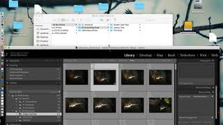 Organizing Files and Folders in Lightroom