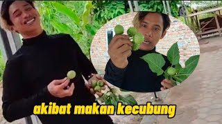 coba makan kecubung