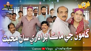 Gamoo Ji Maaka Beradri Saan Mohabbat | Asif Pahore (GAMOO) | Gamoo Vlogs