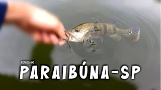 Pesquei TUCUNARÉ em PARAIBÚNA - SP sem conhecer nenhum ponto! #pesca