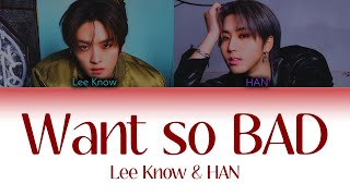 Lee Know & HAN "Want so BAD" (Color Coded Lyrics)