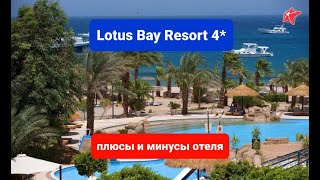 Lotus Bay Resort 4*, Египет, плюсы и минусы отеля, обзор пляжа, лотус бей сафага, Хургада, отзыв