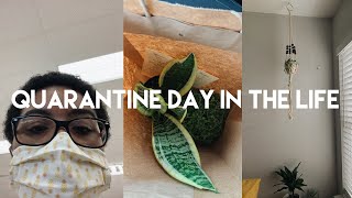 quarantine vlog | how I journal, new plants, target haul, + q&a