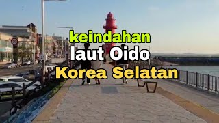 LAUT OIDO KOREA SELATAN