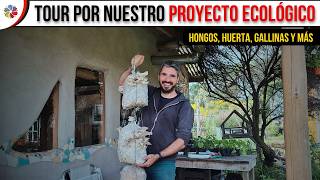 🌱 TOUR por nuestro PROYECTO ECOLÓGICO en 🔥 Noviembre | Hongos comestibles, huerta, gallinas y más.