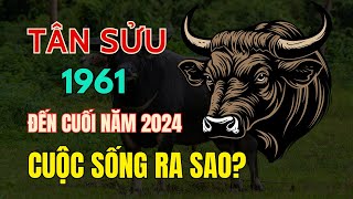 Tử Vi Tuổi Tân Sửu 1961, Cuộc sống Tuổi già sẽ ra sao? Vận trình Tử vi Từ giờ đến cuối Năm 2024