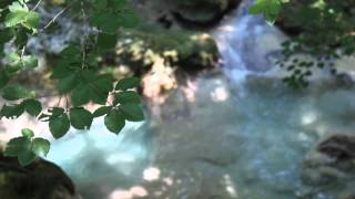 Excursión al nacedero de Urederra