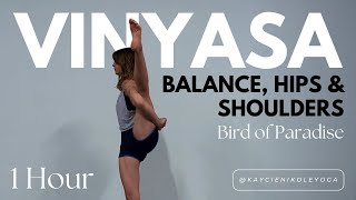 Bird of Paradise: Vinyasa Flow Yoga Class 60 Minutes: Hips, Hamstrings, Balance & Shoulders