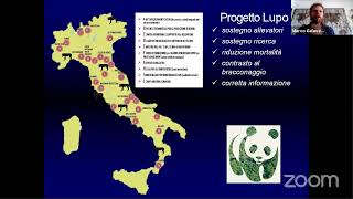 Convegno il Lupo in Pianura: buone pratiche di convivenza