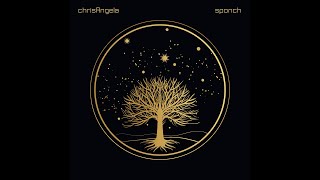 "Sponch" by chrisAngela from the album "Tidal Force"