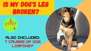 Is my dog's leg broken? | Other causes of dog limping discussed!