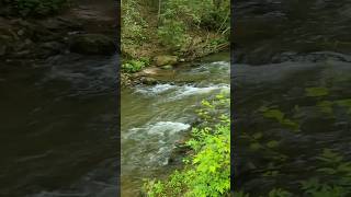 Blue Ridge Mountain River Walk