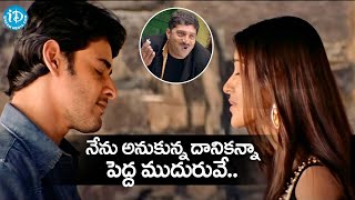 Pokiri Movie Mahesh Babu, Ileana Super Hit Interesting Scenes..| Back To Back | #idreambhadradri