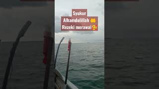 Syukur Alhamdulillah,Rezeki Merawai🤲🥰 #shorts #short #viral #youtubeshorts #shortvideo #nelayan#like