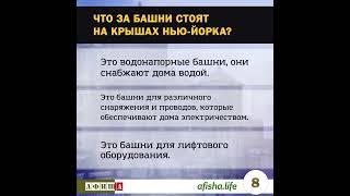 Как провести викторину для зрителей вашего канала? Пример для журнала Afisha в NYC