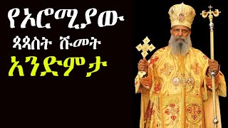 የኦሮሚያ ጳጳሳት ሹመት ምክንያት - የኦሮሚያ ክልል ጳጳሳት ሹመት - የኦሮሚያ ጳጳሳት ሹመት