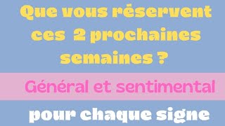 ❤️ ce que vous réservent ces 2 prochaines semaines, pour chaque signe ❤️