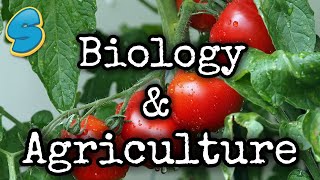 Biology and technology ( በአማርኛ) Grade 8 Biology Unit 1