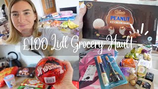 £100 LIDL GROCERY HAUL! | SUMMER HOLS