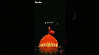 Qawwali Shukr Kaise Karun | شکر کیسے کرو | #aunabbas #qawwali #shots 🍂🌼💖🌹🥰