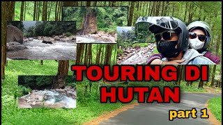 TOURING DI HUTAN BANYAK HEWAN LIAR TURUN KE JALAN