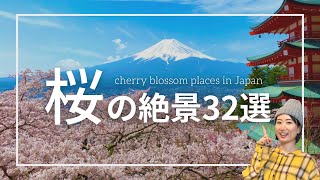 この春に行きたい！日本の桜の絶景ベスト30｜全県を訪れた中から厳選＆スマホ撮影のコツ