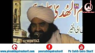 Nawasa E Rasool SAW  Rawalpindi   Pir Syed Naseeruddin Naseer Gilani R A Program 198 Part 1 of 2