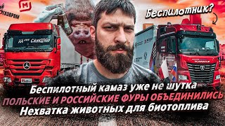 ПОЛЬСКИЕ И РОССИЙСКИЕ ФУРЫ ОБЪЕДИНИЛИСЬ / Беспилотный камаз уже здесь / Биотопливо из поросят