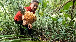 ASI ENCONTRAMOS ESTAS FRUTAS - LA PIÑA🍍 ESTABA MUY DULCE😋😋