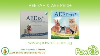 AEE K9+ & AEE PETS+ - Pawrus Singapore | Product Spotlights: EP9