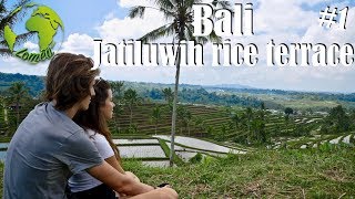 jatiluwih rice terraces - Bali #1