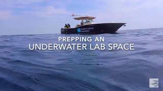 Prepping an Underwater Lab Space