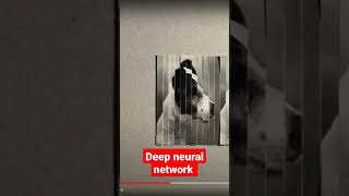 Deep neural network