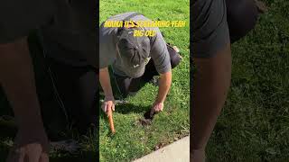 October 16, 2024 Metal Detecting