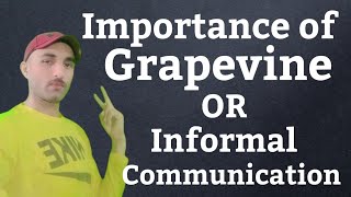 Importance of Grapevine or Informal Communication