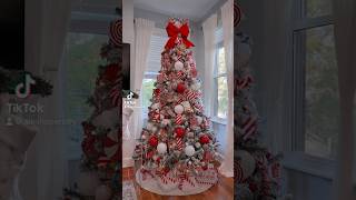 Which Christmas Tree Are You Choosing? | Alesha Pendry #christmas #christmastree