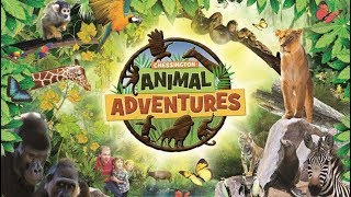 Chessington Animal Adventures 2019 Gruffalo River Ride POV