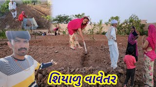 શિયાળુ વાવેતર || shiyadu vavetar || Village life