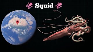 I Found Giant 🦑 Squid 🦑 On Google Earth & Map