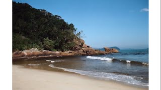 Praia do Puruba e Praia Vermelha - Ubatuba