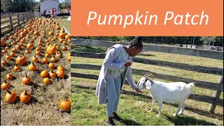 Pumpkin Patch Virtual Field Trip Vlog