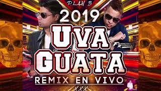 Guatauba XXX En Vivo (Remix 2019) ✘ Plan B  ✘ Francisco Rodriguez Dj ✘ HQ