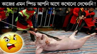 এদের কাজ করার স্পিড দেখলে বিশ্বাস করতেও কষ্ট হবে আপনার these peoples are incredible