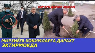 МИРЗИЁЕВ ХОКИМЛАРГА ДАРАХТ ЭКТИРМОКДА