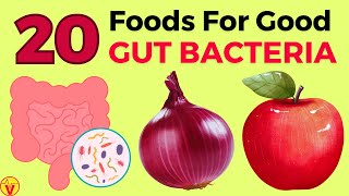 20 Foods That Increase GOOD Gut Bacteria - Optimize Your Gut Microbiome | VisitJoy