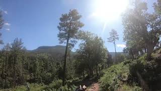 Pine (AZ) trailhead toward the rim