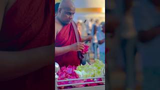 Buddham saranam gachchami #buddhism #ruwanweliseya #trending #traval #galigamuwegnanadeepathero