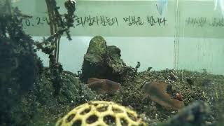 [1029참사 추모 어항방송] Aquarium Live - 2023.06.02 Fri KST